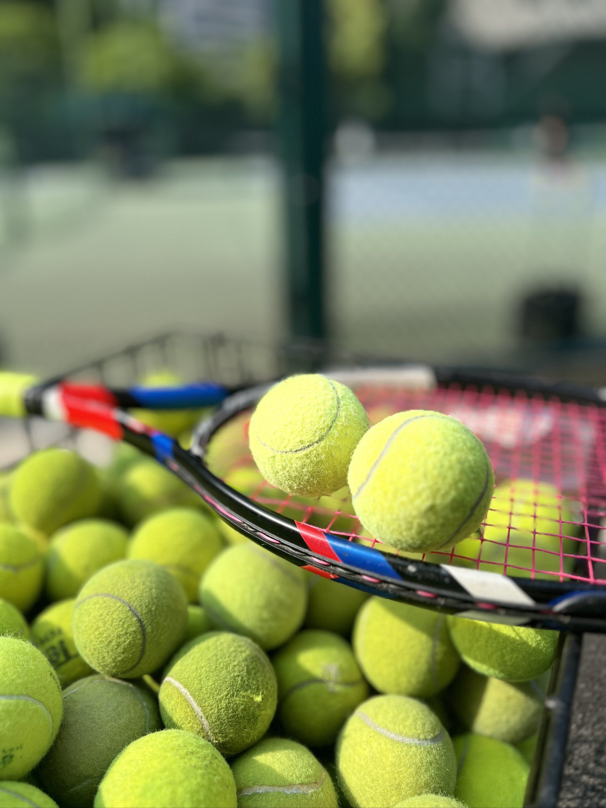 也凸显了她 也凸显了她