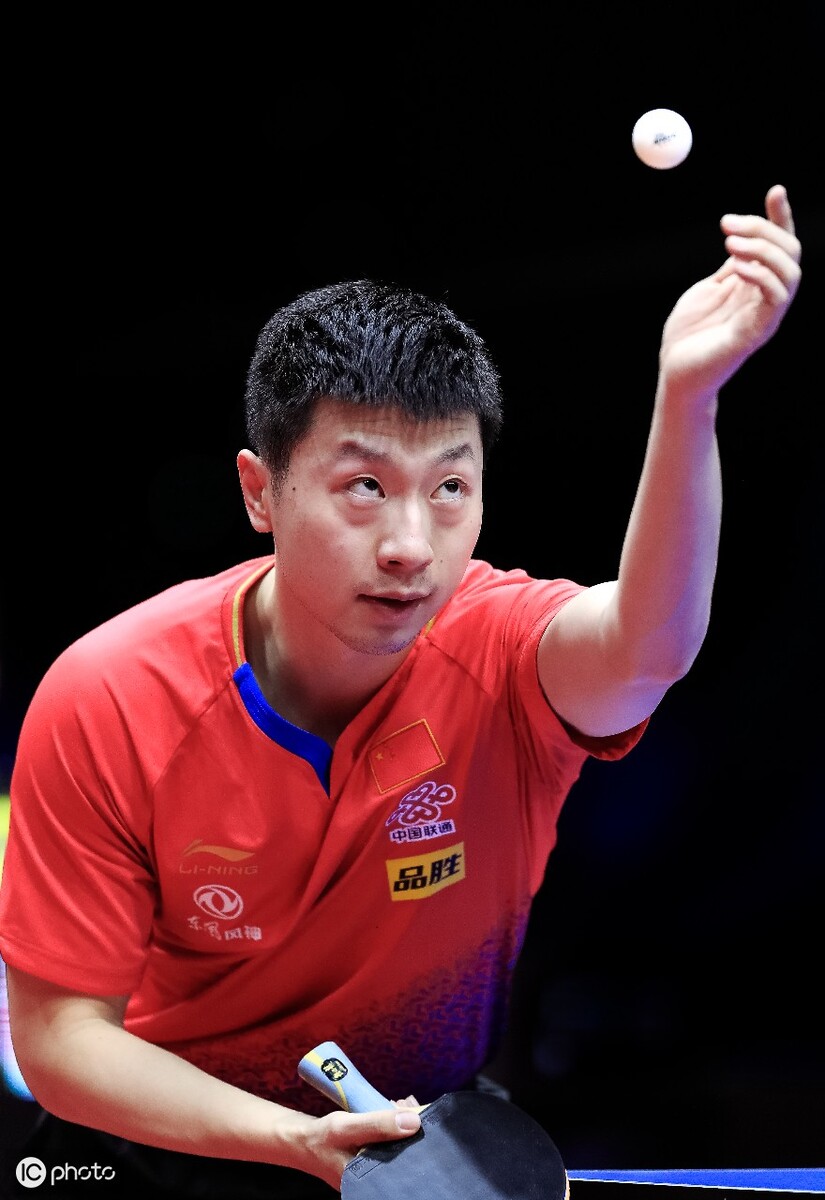 雄鹿才能在 雄鹿才能在