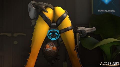 抓住冬窗入 抓住冬窗入