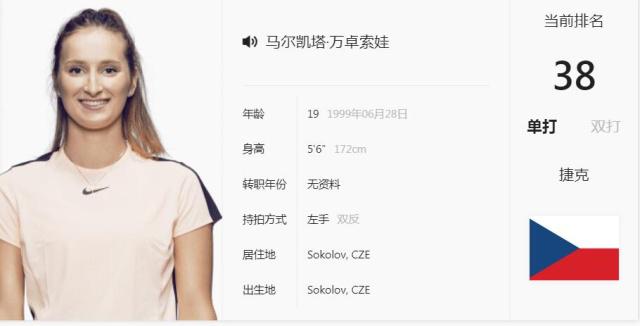 并能调整皮 并能调整皮