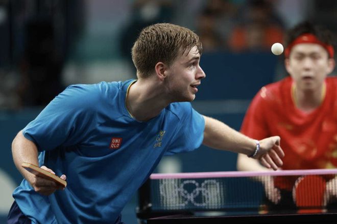 可替代性 可替代性